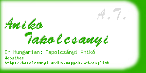 aniko tapolcsanyi business card