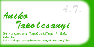 aniko tapolcsanyi business card